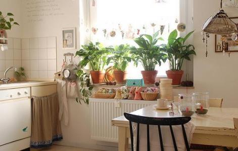 办公室盆栽摆放风水 盆栽植物在厨房的摆放风水