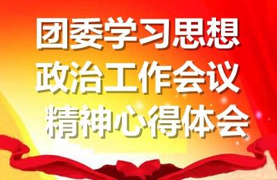 高校思想政治会议心得 高校教师思想政治总结心得