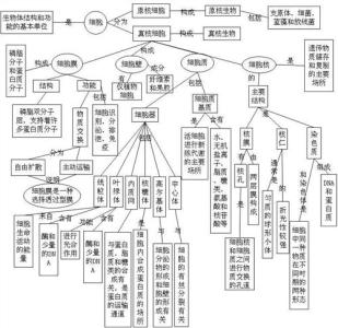 高中生物知识点2017年 2017年高考生物细胞的基本结构知识点