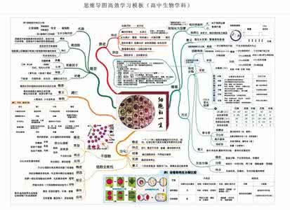 走进细胞知识点 高一生物走进细胞知识点梳理