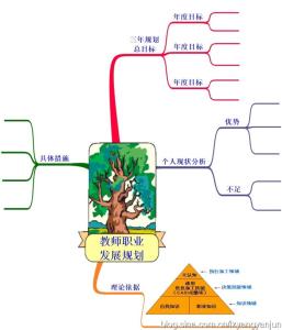 优秀幼师个人职业规划 幼儿教师个人职业规划