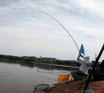 钓鱼溜鱼视频 钓鱼溜鱼有哪些技巧