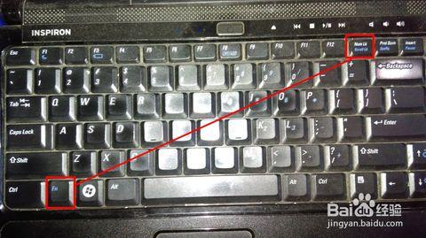 键盘字母变成数字 怎么解决笔记本电脑键盘输入字母变成数字