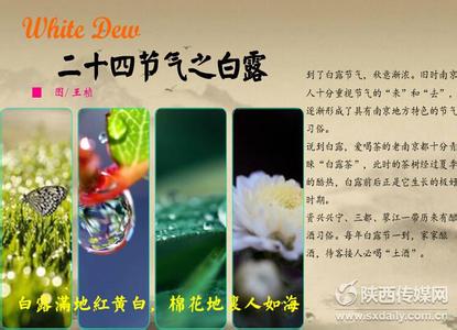 白露节气运动养生 白露节气如何养生总结 白露节气吃什么好 白露养生指南
