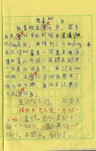 我喜欢小兔子作文 我喜欢小兔子作文500字4篇