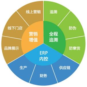 财务内控体系建设 ERP环境下财务内控体系
