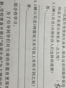 我终于成功了作文 作文我终于成功了8篇