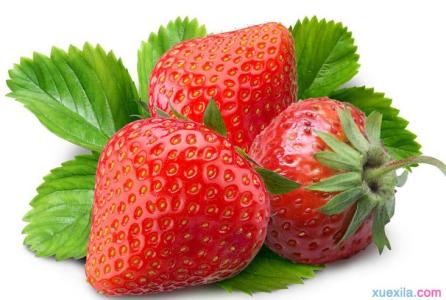 恒述用英语怎么说 采草莓用英语怎么说