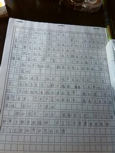 想象作文500字 假如我有一匹马作文500字，想象作文我有一匹马