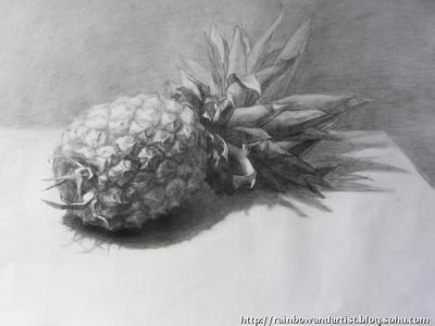 菠萝素描画法步骤图片 菠萝素描百度图片