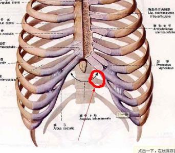 胃持续性疼痛怎么回事 胃部痛怎么回事