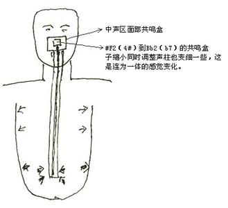 发声位置 音色 发声音色沉闷有什么解决方法