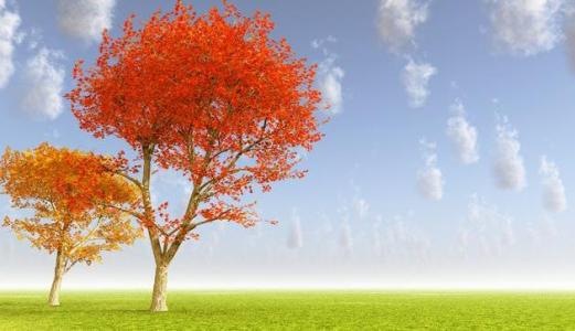 描写秋天景色优美句子 描写秋天的优美句子 表示秋天景色的优美句子