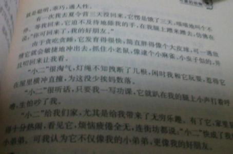 观察小猫的作文400字 观察小猫作文400字6篇