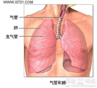 支气管炎肺炎的治疗 肺支气管炎怎么办 肺支气管炎的治疗方法