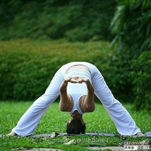 自学瑜伽可以练习哪些动作