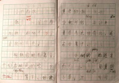 三年级300字作文秋天 三年级关于秋天的作文300字，三年级秋天的作文300字