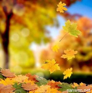 形容风景优美的句子 写秋天风景的优美句子