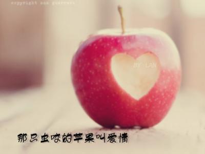 原来爱情这么伤 原来那个虫咬的苹果叫爱情！