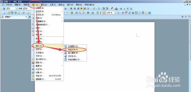 wps文档设置图片大小 wps文档怎么设置背景图片