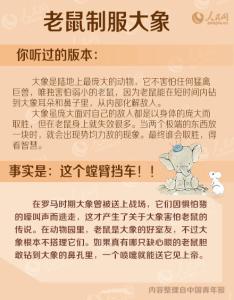 心灵鸡汤经典语录短句 心灵鸡汤英语版 心灵鸡汤英语短句 心灵鸡汤语录英语