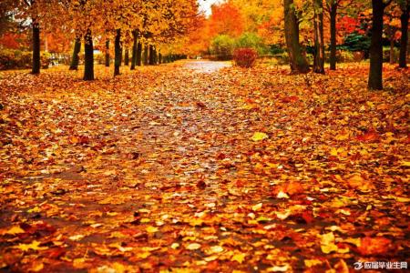 关于秋天的句子 关于秋天的经典句子