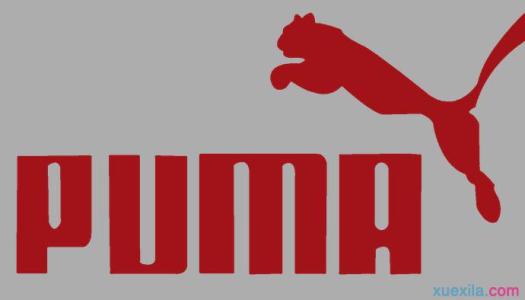 puma广告词 关于puma的广告词