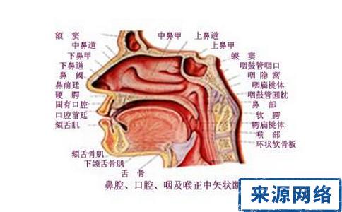 鼻咽癌形成是多长时间 鼻咽癌形成的原因