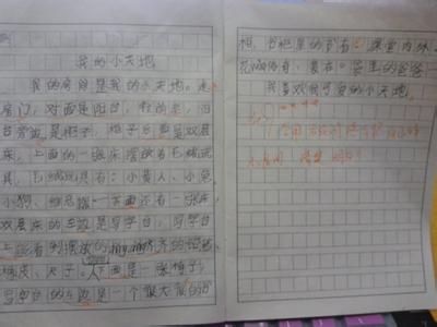 可爱的小狗作文600字 我可爱的小狗作文600字精选3篇