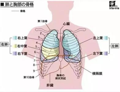 肾脏排毒的最佳方法 肾脏怎么排毒，肾脏排毒的方法