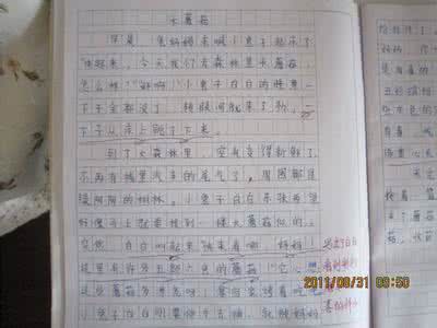 成长的脚印作文600字 成长的脚印八年级作文