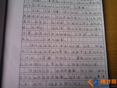 打架检讨书 1200字打架检讨书篇三