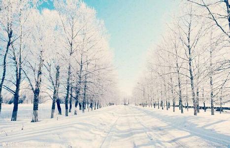 描写景色的美文 关于描写冬天景色的美文