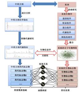 现代药理学研究方法 现代药理学的研究发展方向初探