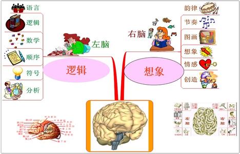 右脑记忆 强化记忆是开发右脑能量的最佳途径