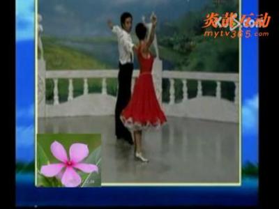 杨艺教探戈交谊舞入门 北京探戈交谊舞入门视频