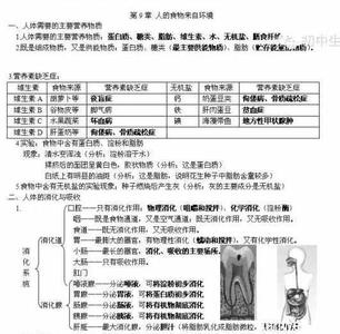 七下生物知识点总结ppt 七年级下生物知识点总结