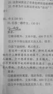 以追赶为题作文600字 以追为题作文4篇