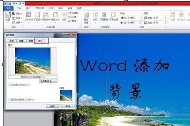 word页眉横线怎么添加 在word中怎么添加背景