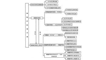 生物选修三知识点总结 生物选修三第二章知识点