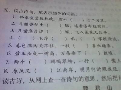 表示看的词语或成语 表示颜色的词语 成语