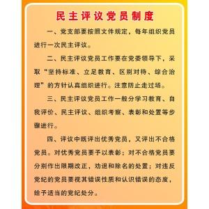 党员他人评议范文 党员民主评议总结范文