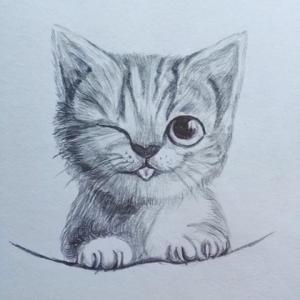 铅笔画图片 关于猫铅笔画图片