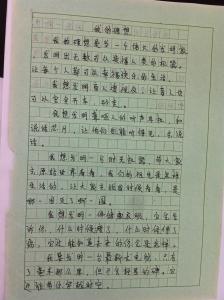 我的理想作文400字 我的理想 作文