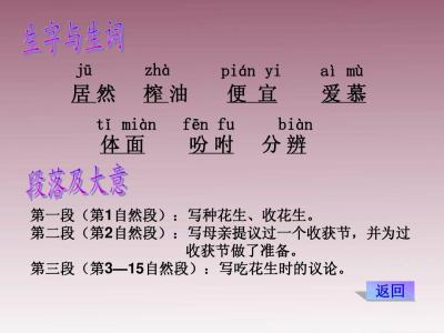 中考语文怎么复习
