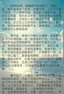 快乐的春节作文450字 关于快乐的春节的450字记叙文