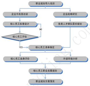 职业规划咨询公司 咨询客服职业规划