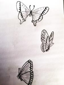 手绘蝴蝶图片铅笔画 蝴蝶铅笔画的图片