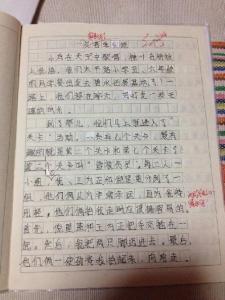 一件有趣的事作文500字 一件有趣的事作文600字