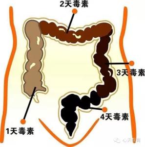 清宿便排肠毒的药 清宿便排肠毒的方法